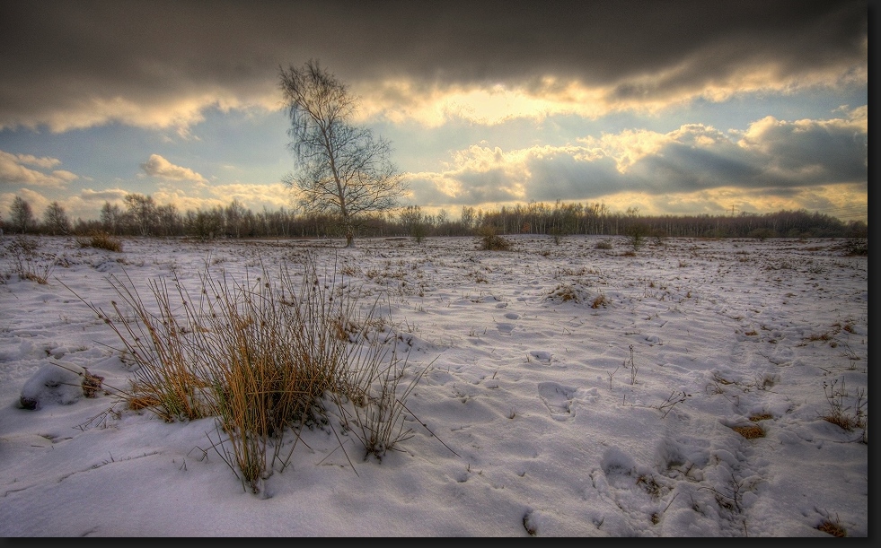 Wintermorgen