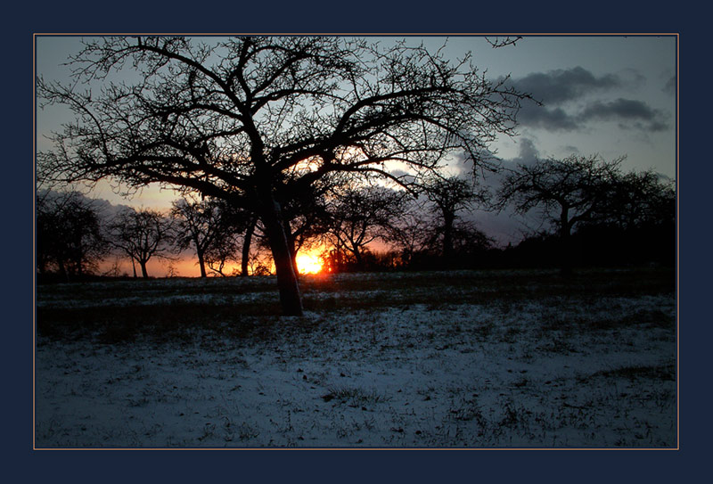 Wintermorgen....