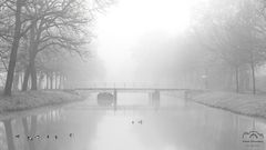 *** Wintermorgen *** 