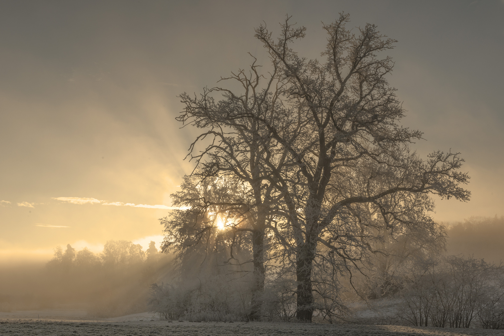 Wintermorgen