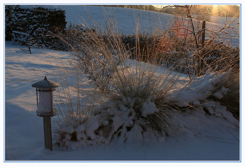 Wintermorgen