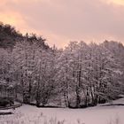 Wintermorgen Deilbachtal