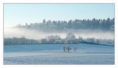 Wintermorgen