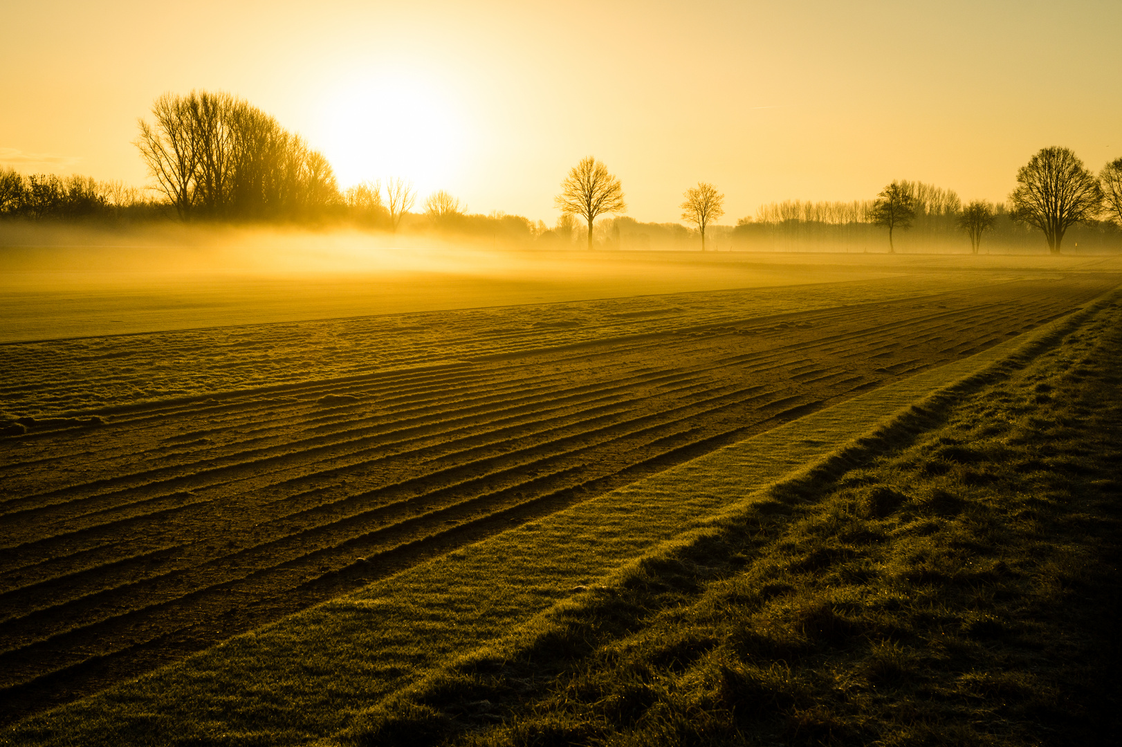 Wintermorgen