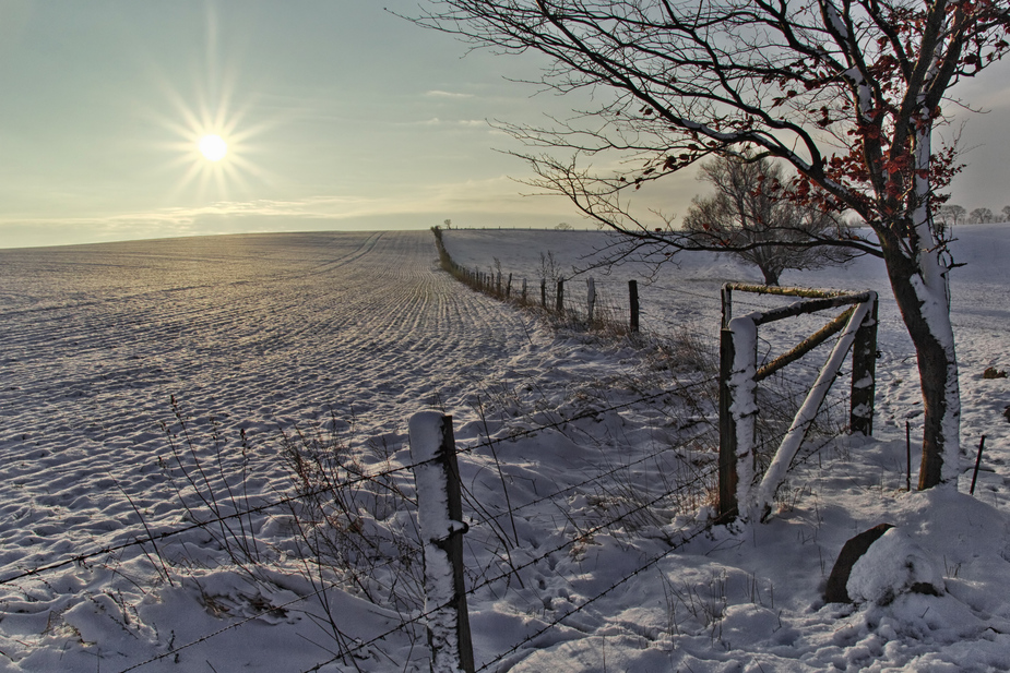 Wintermorgen