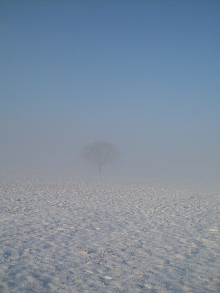 Wintermorgen