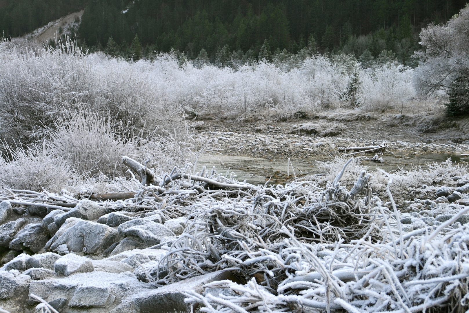 Wintermorgen