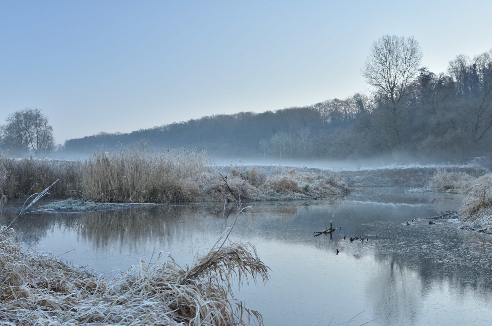 Wintermorgen