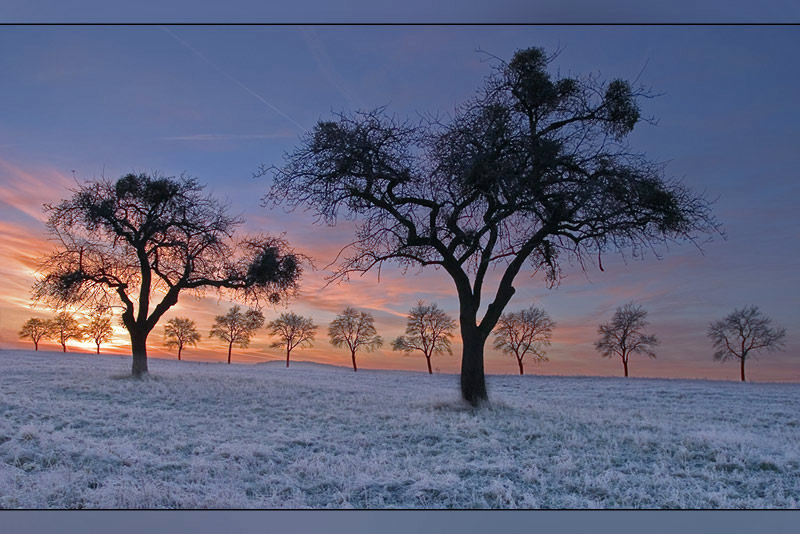 Wintermorgen....