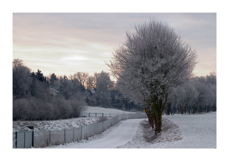 - Wintermorgen -