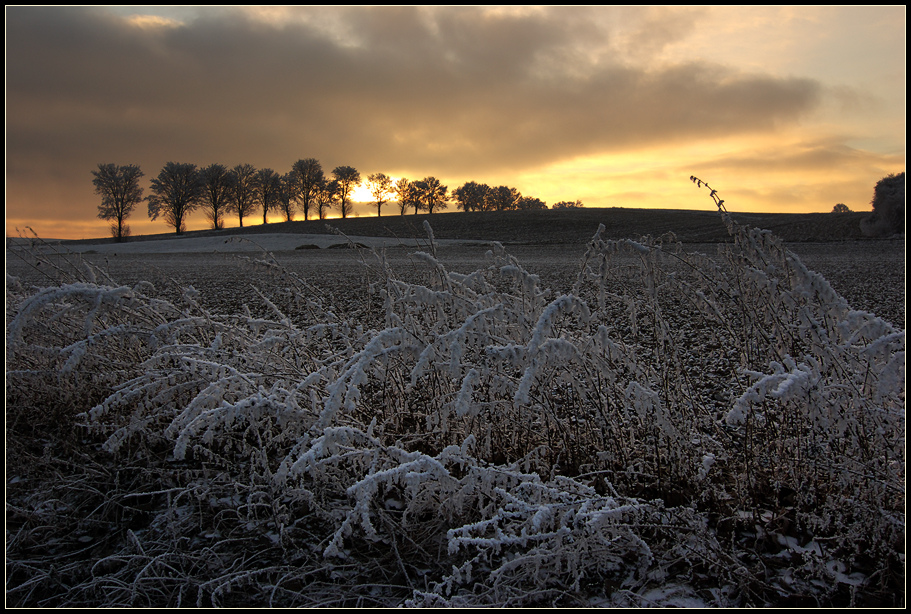 Wintermorgen