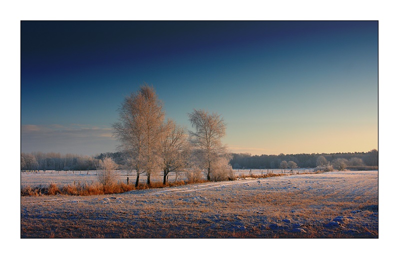 Wintermorgen