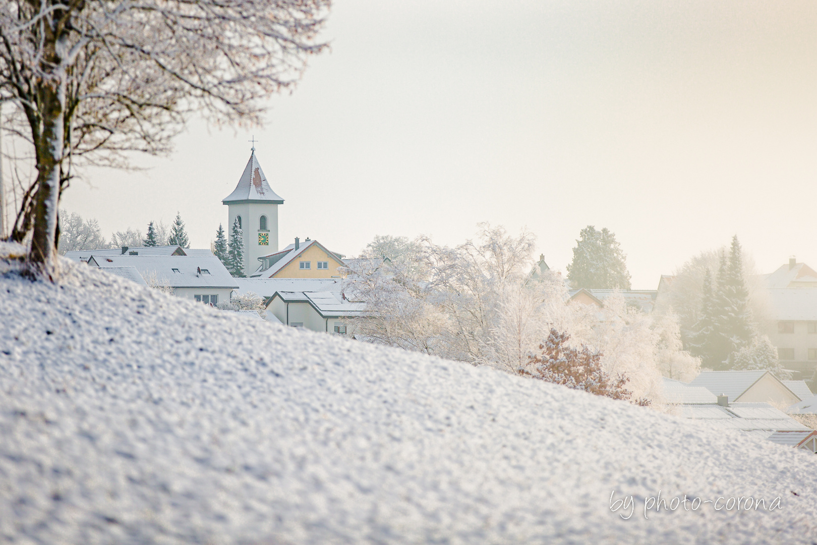 Wintermorgen Gemeinde Vogt