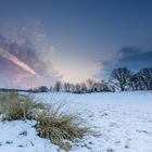 Wintermorgen Hamburg