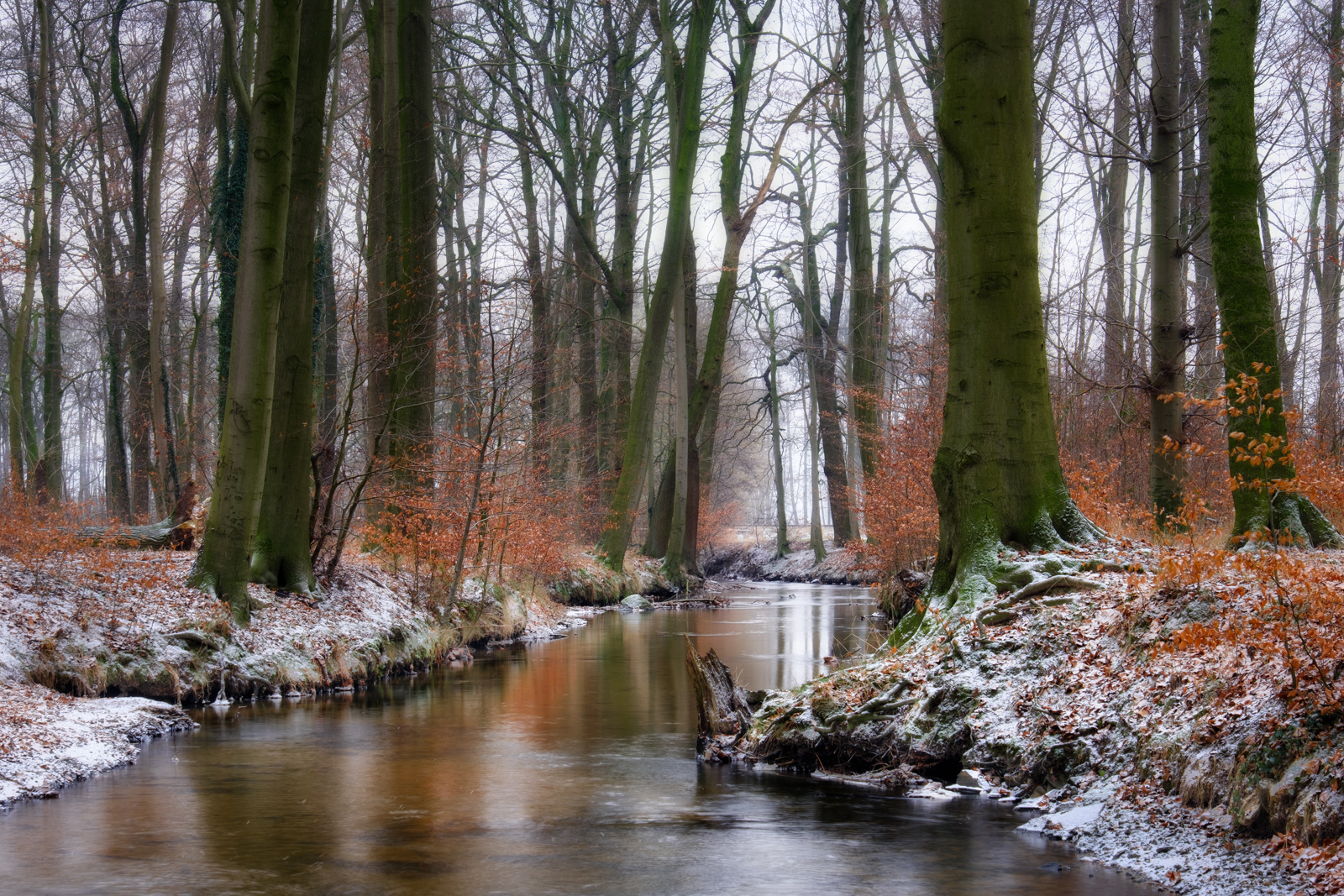 Wintermorgen II