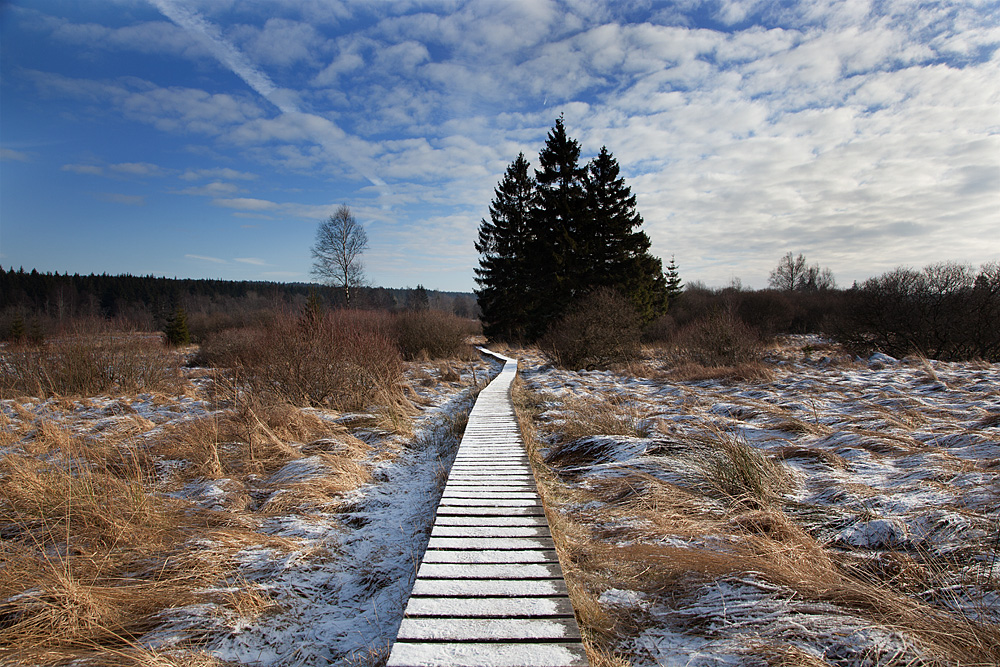 Wintermorgen im Brackvenn