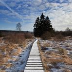 Wintermorgen im Brackvenn