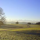 Wintermorgen im Bühlfeld