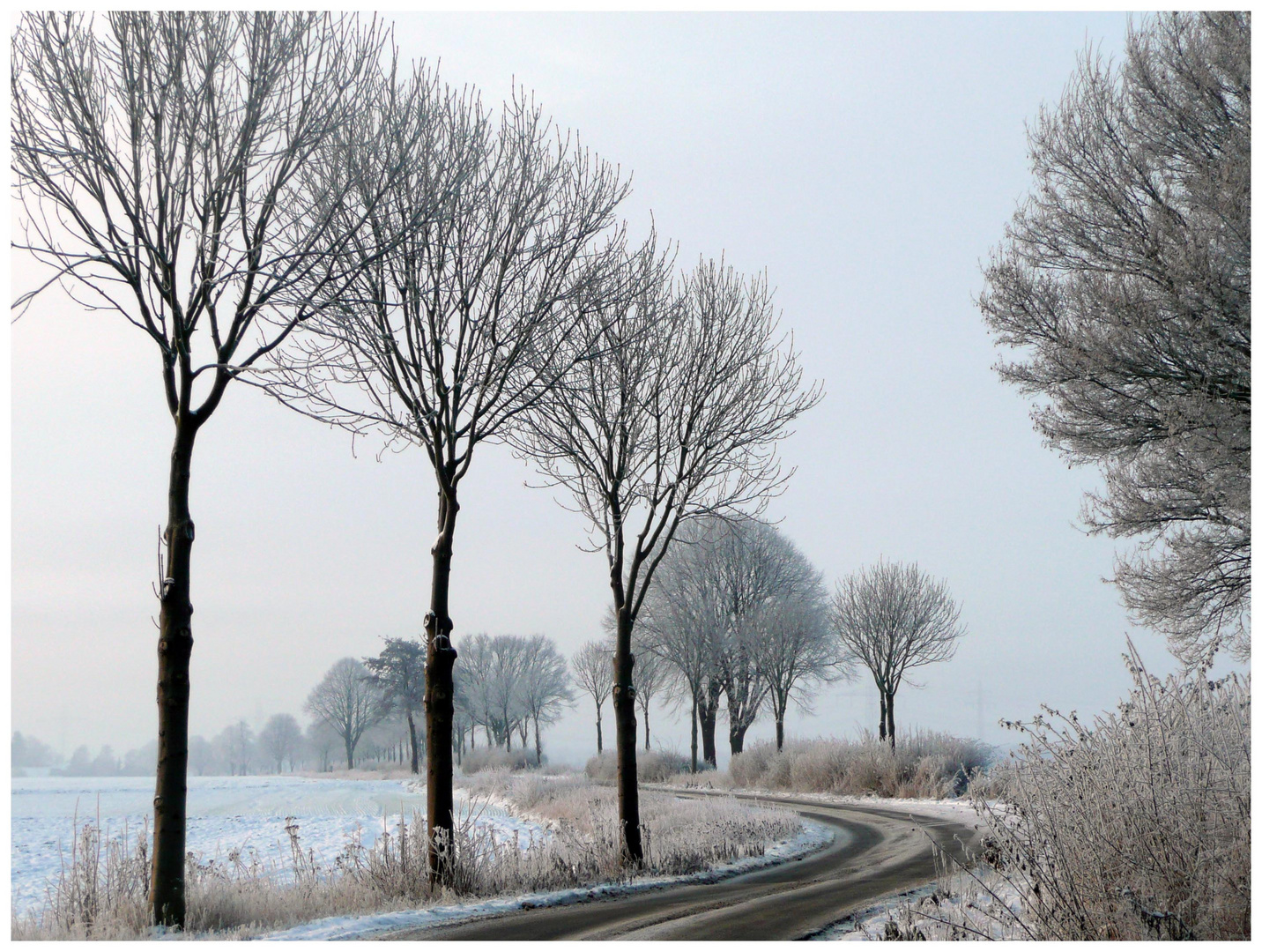 Wintermorgen im Erftkreis