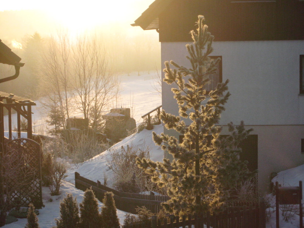 wintermorgen im erzgebirge