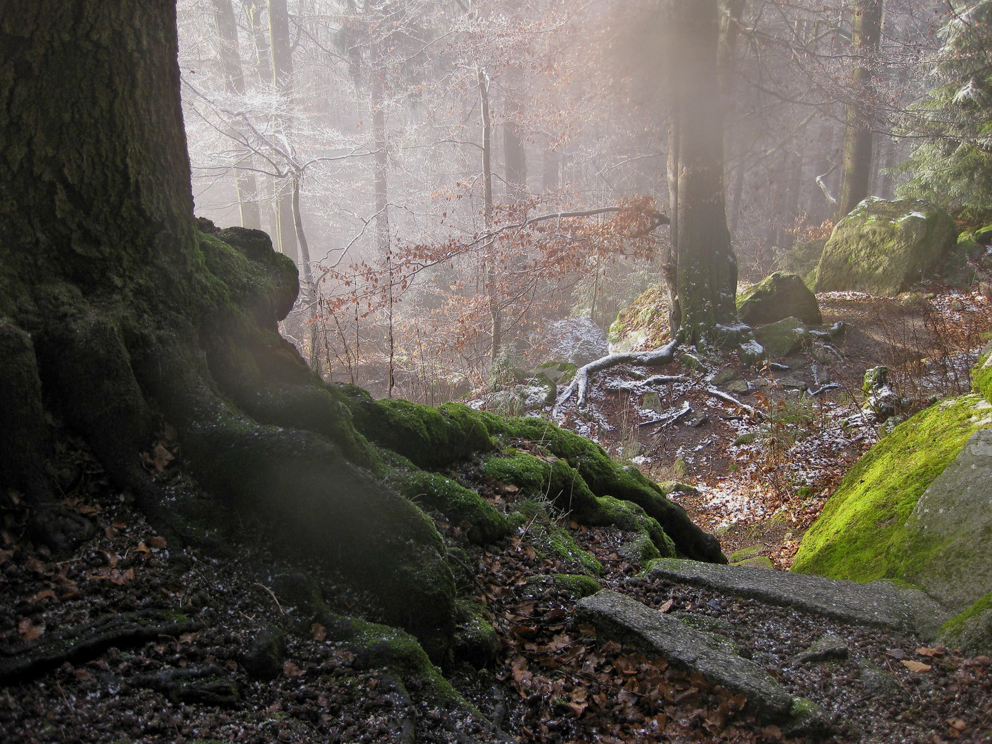 Wintermorgen im Fichtelgebirge