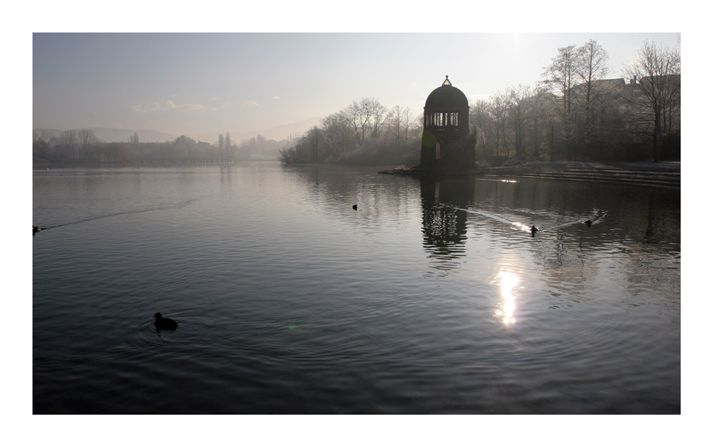 Wintermorgen im Freiburger Seepark