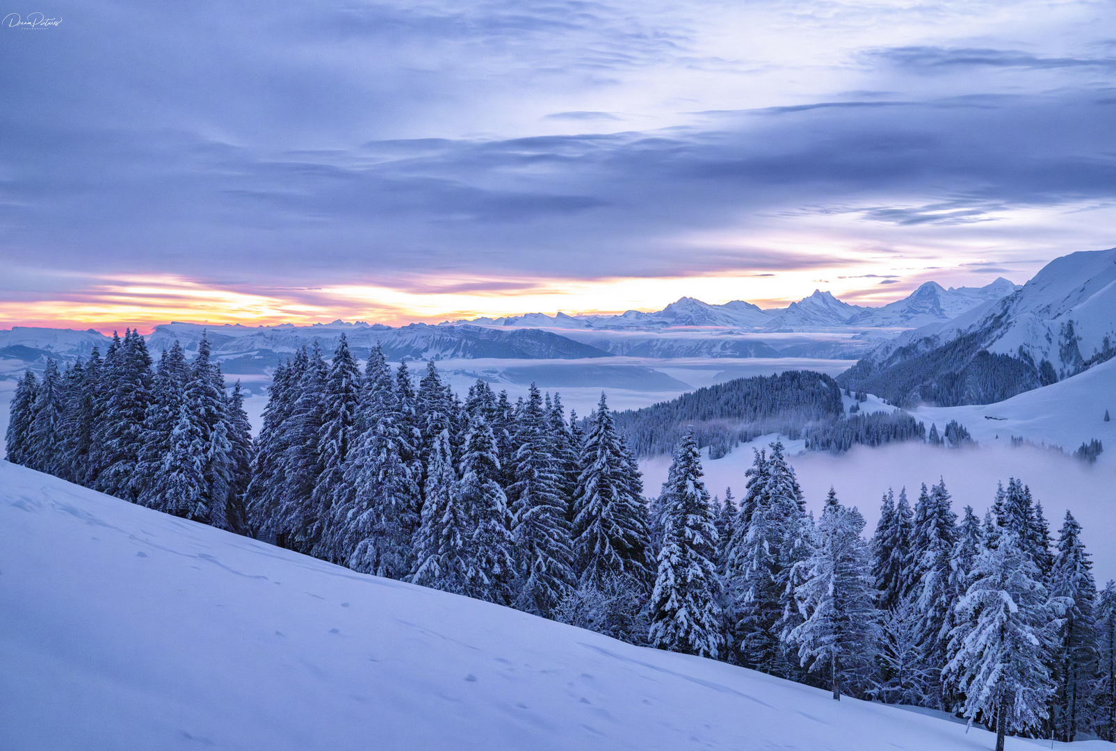 Wintermorgen im Gantrisch