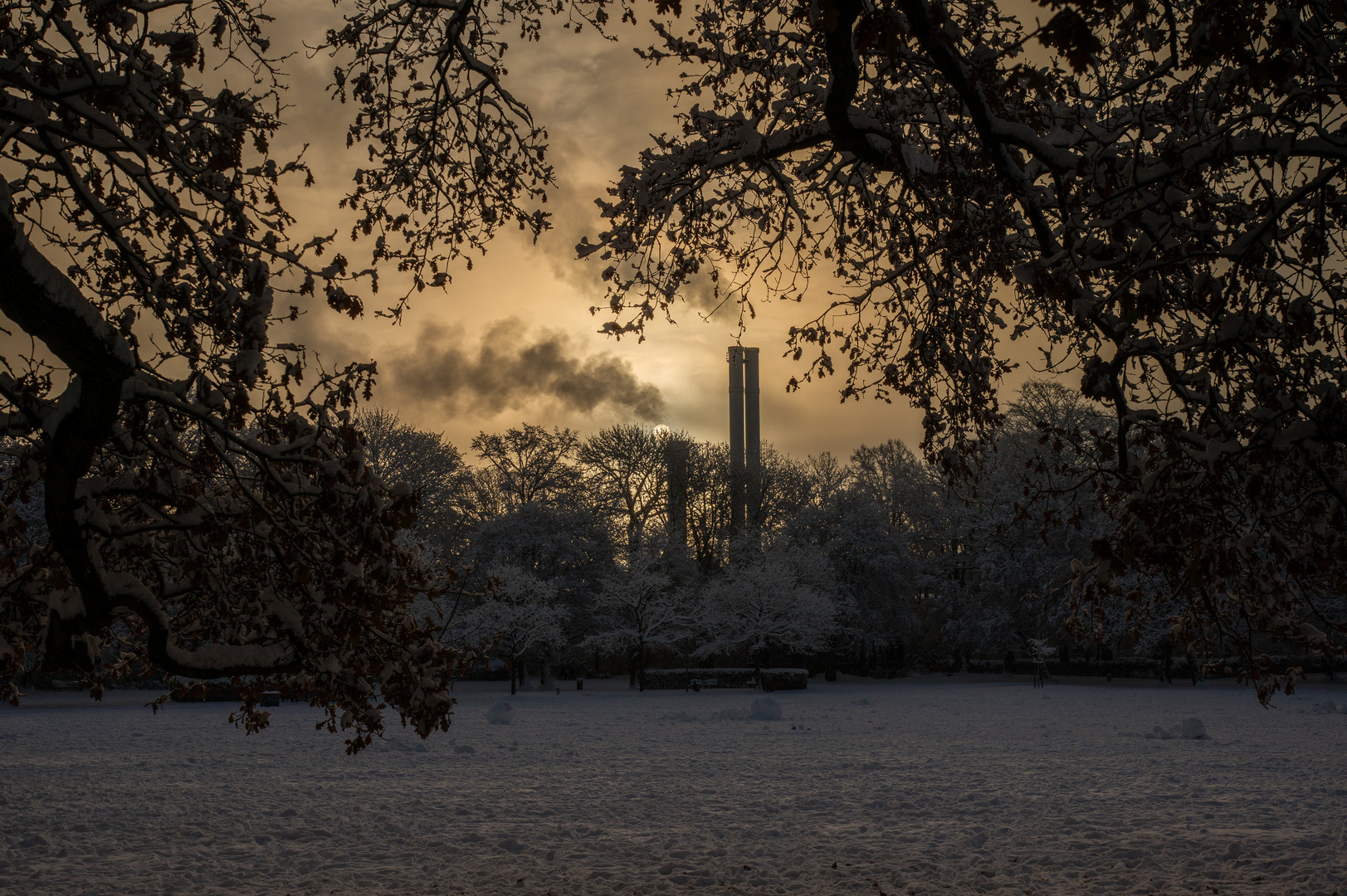 Wintermorgen im Gegenlicht 