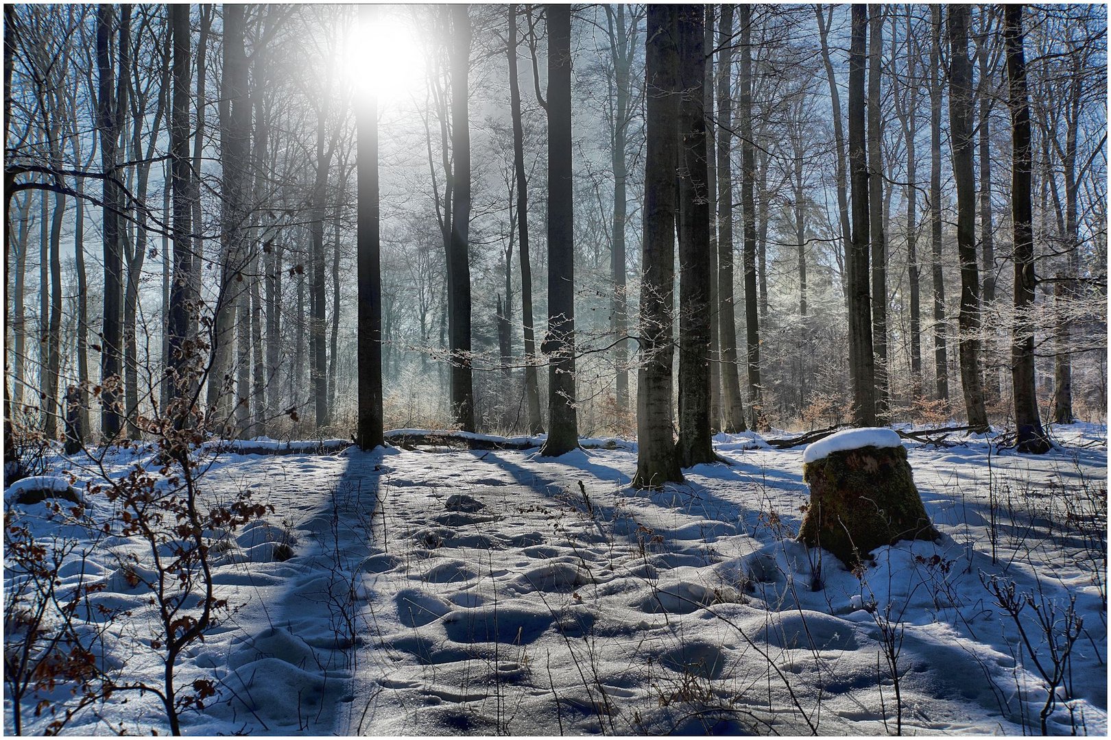 Wintermorgen im Harz