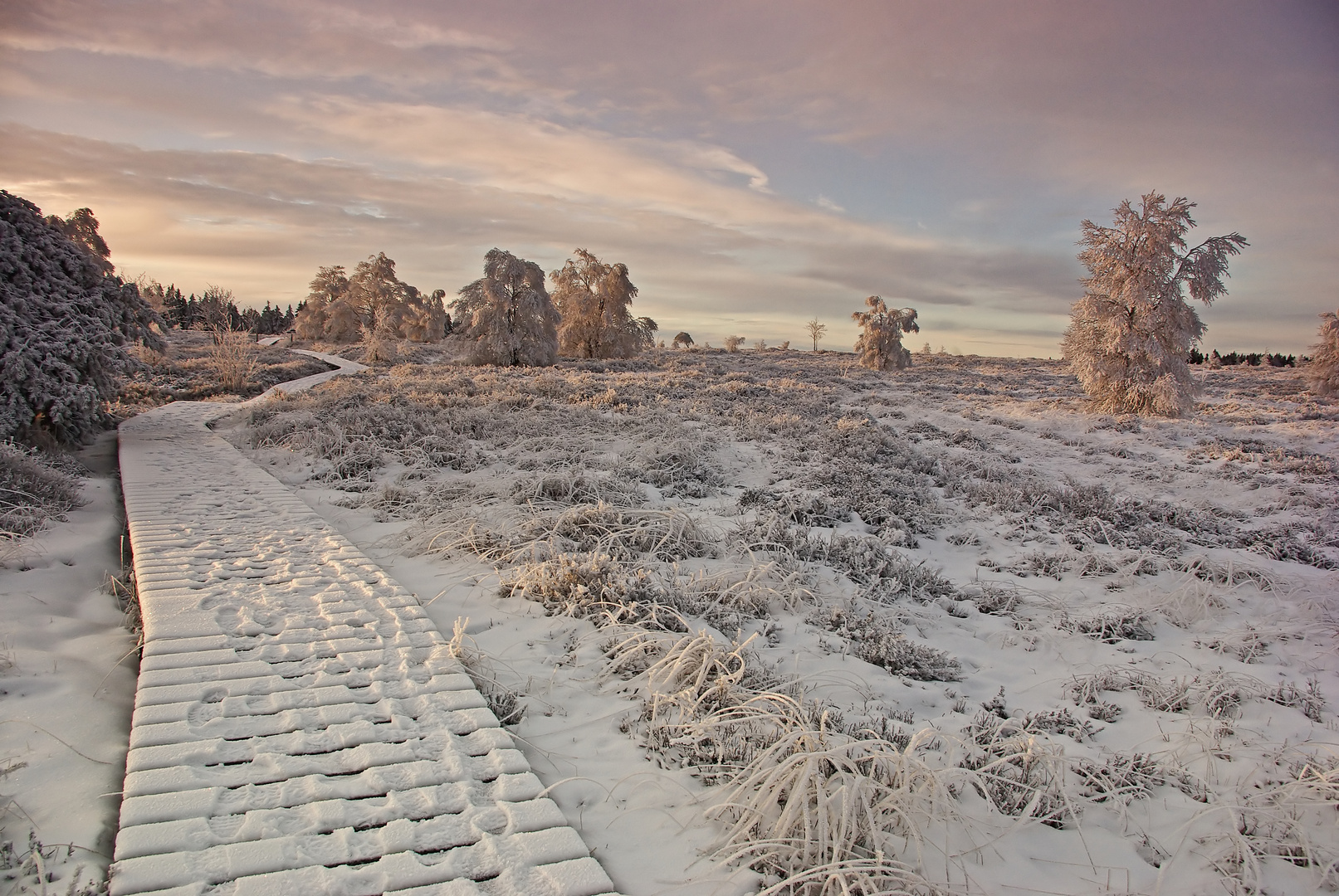 Wintermorgen im Hohen Venn