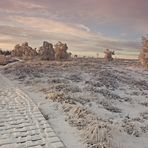 Wintermorgen im Hohen Venn