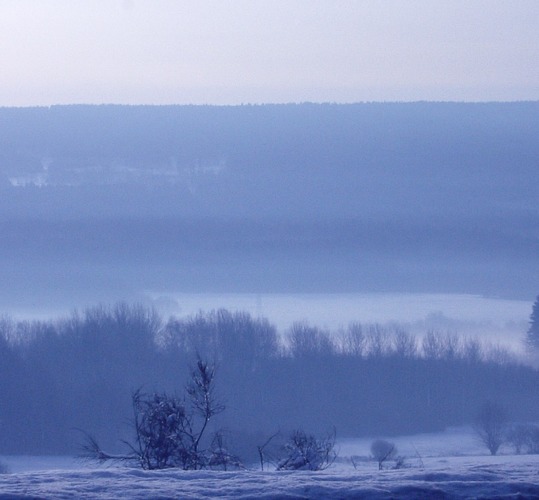 Wintermorgen im Hunsrück