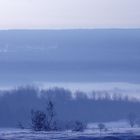 Wintermorgen im Hunsrück