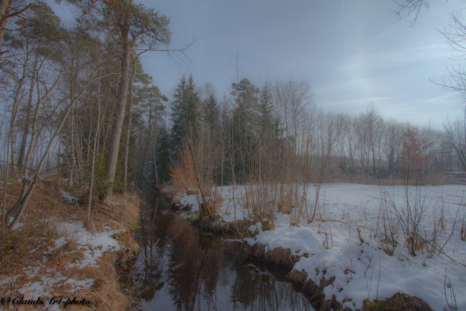 Wintermorgen im Moor