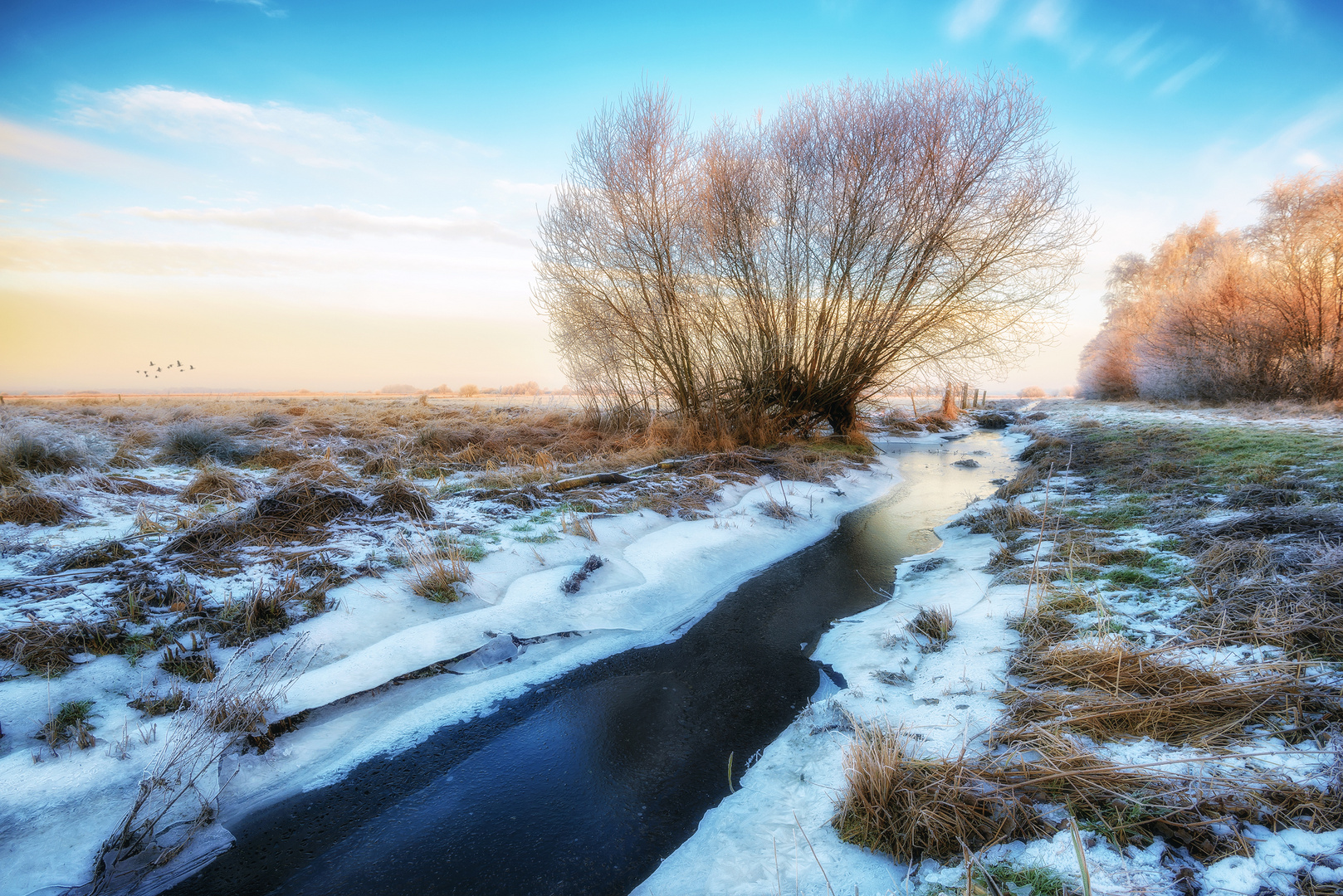 Wintermorgen im Moor