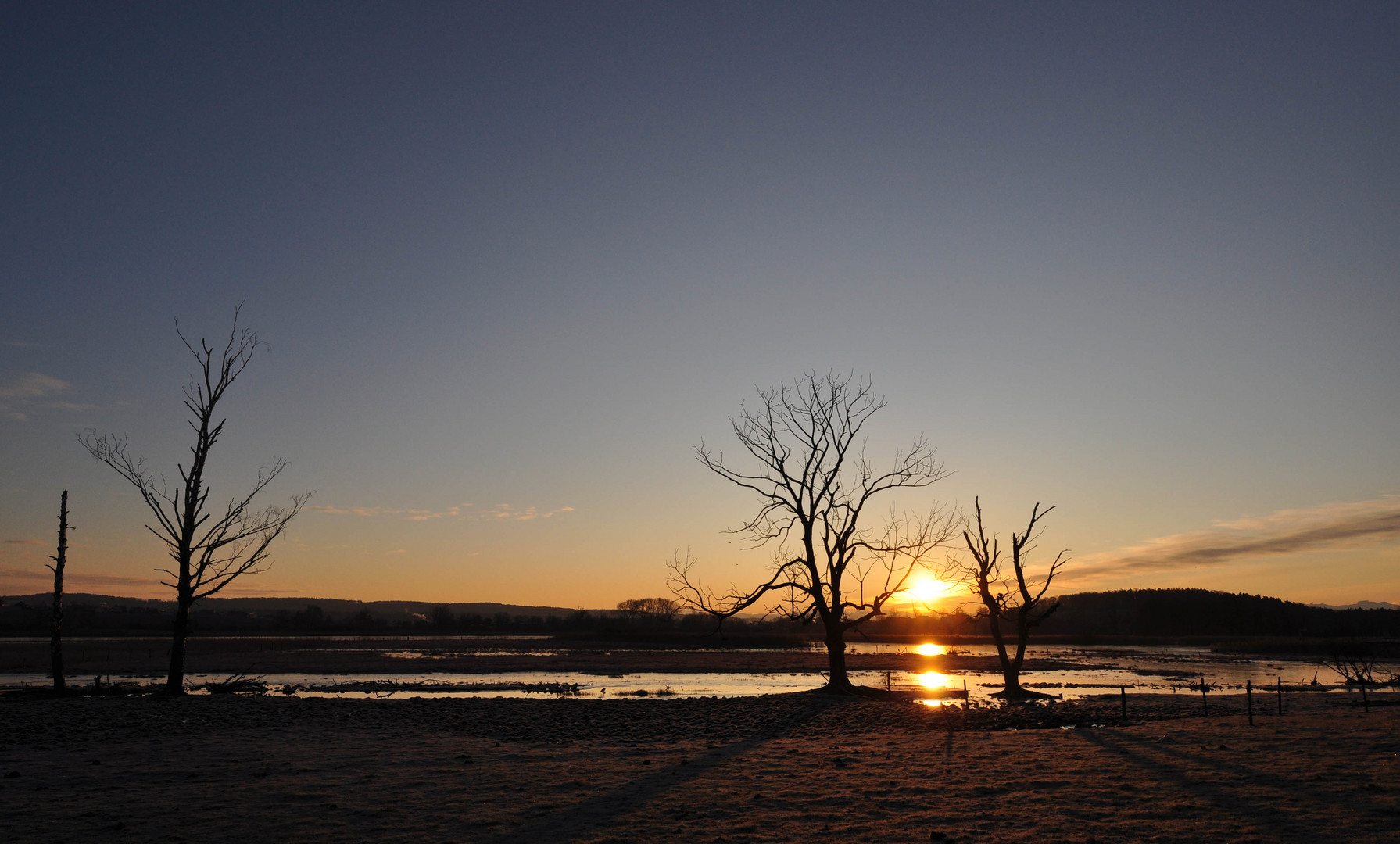 Wintermorgen im Neeracher Riedt