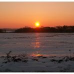 Wintermorgen im Oderland bei minus 21°C