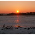 Wintermorgen im Oderland bei minus 21°C