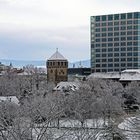 Wintermorgen im Park