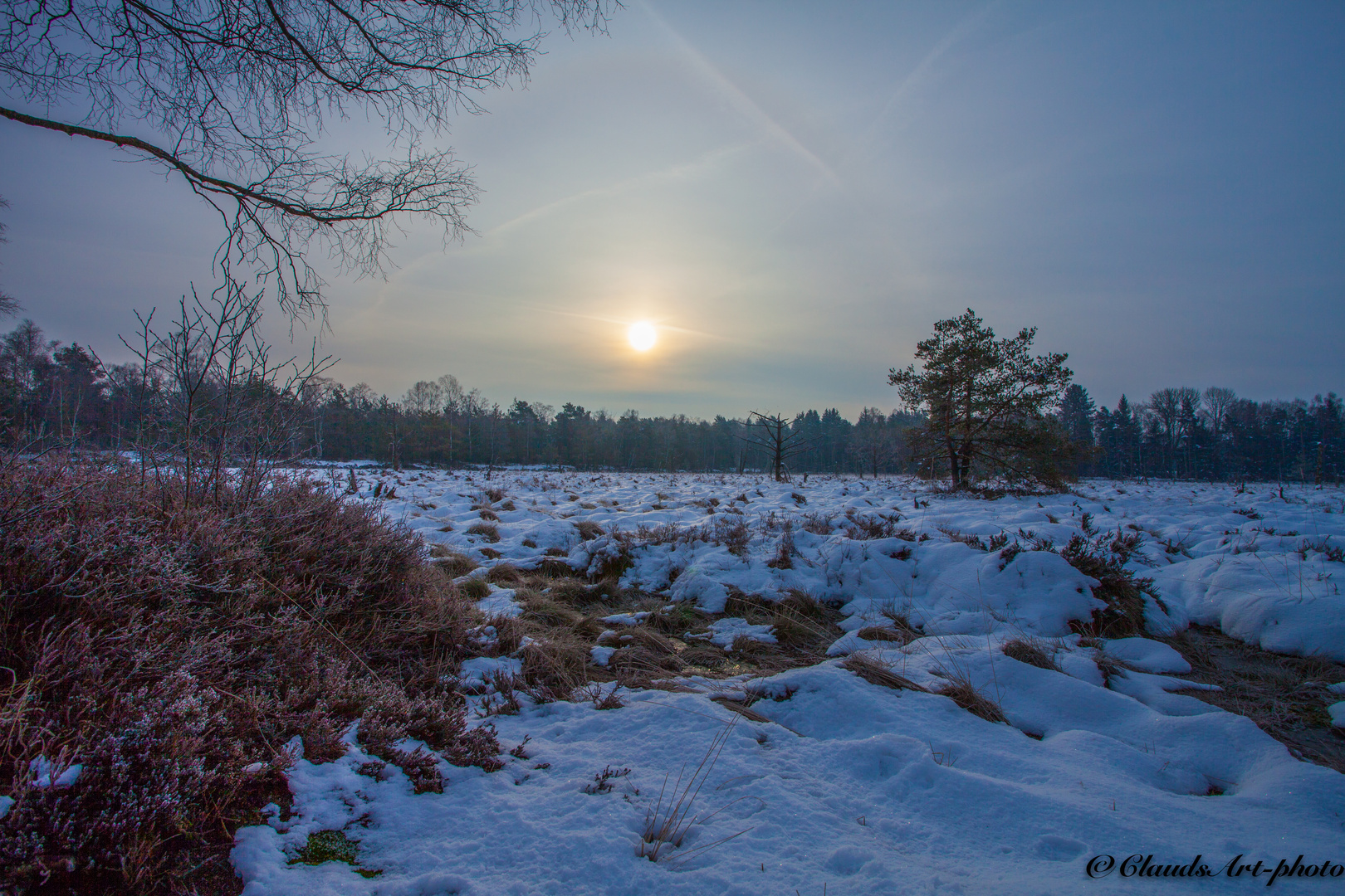 Wintermorgen im Ried