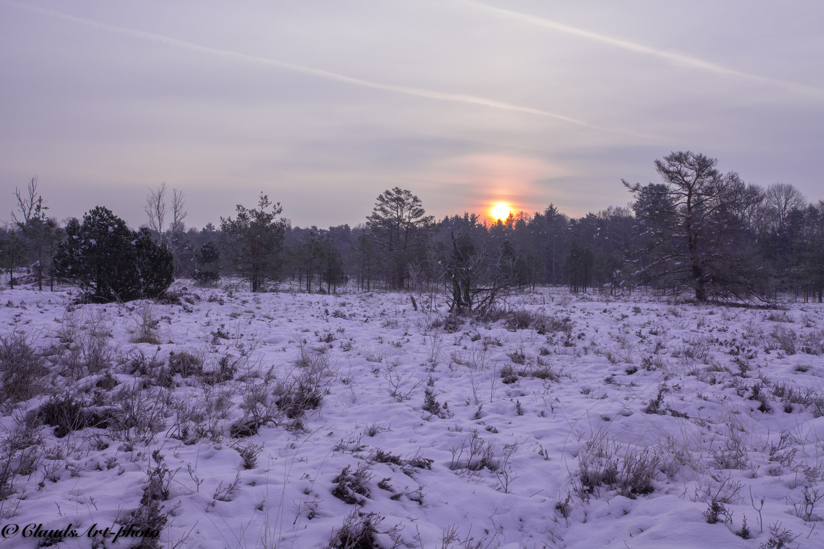 Wintermorgen im Ried