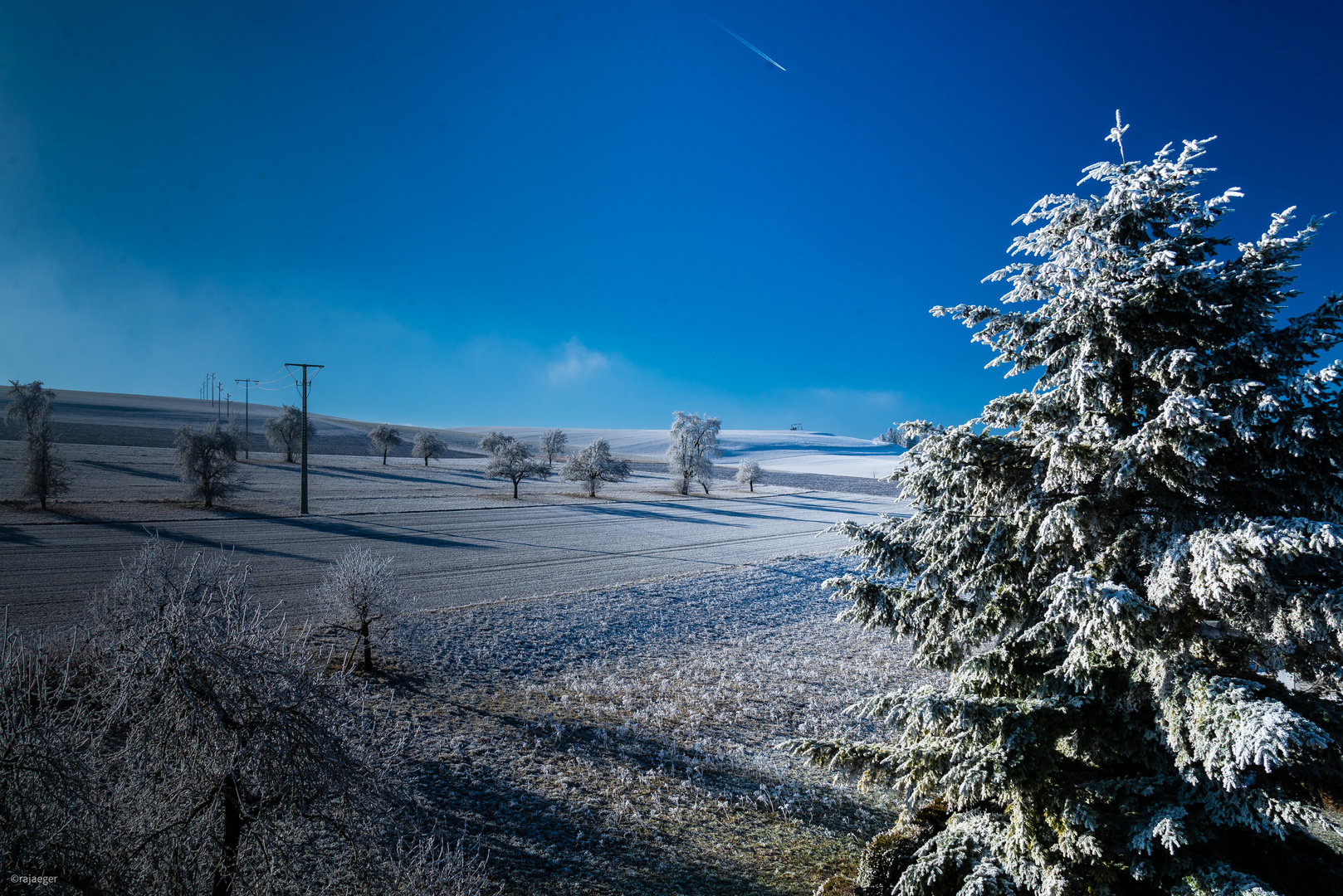 Wintermorgen im Schwarzwald