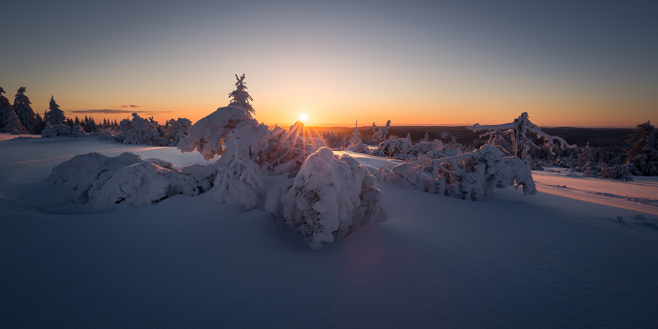 Wintermorgen im Schwarzwald