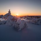 Wintermorgen im Schwarzwald