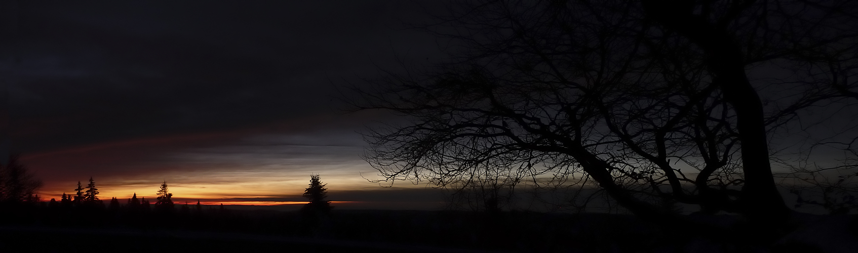 Wintermorgen im Schwarzwald am Schliffkopf