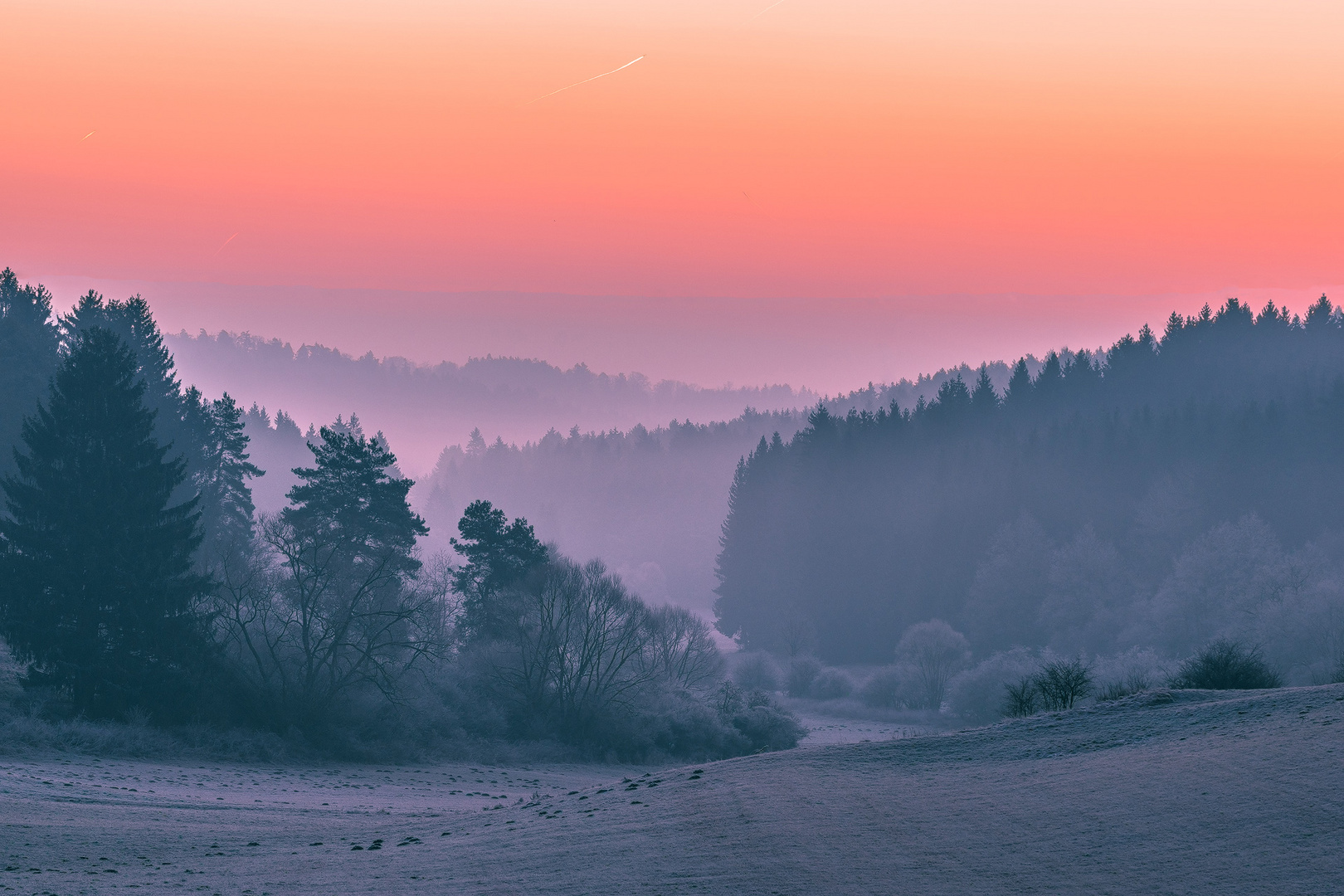 Wintermorgen im Tal