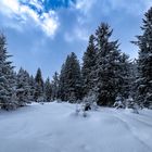 Wintermorgen im Tannheimer Tal