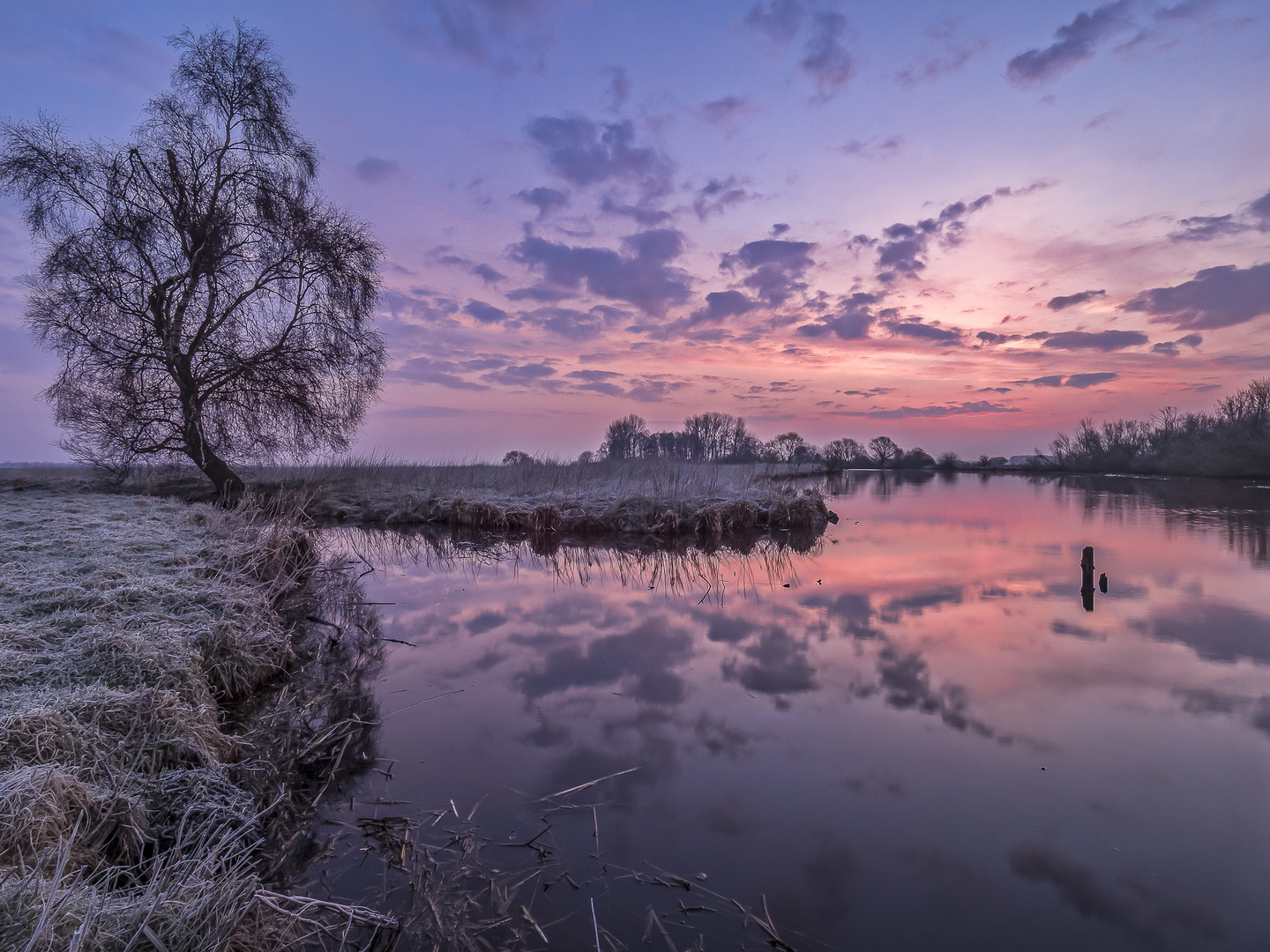 Wintermorgen im Teufelsmoor Foto & Bild | einzigartige ...