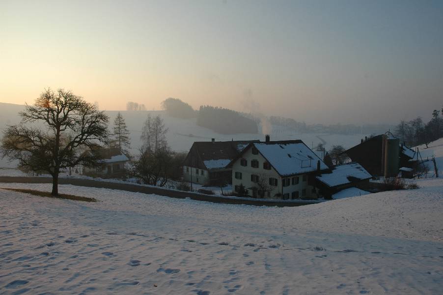 Wintermorgen im Toesstal