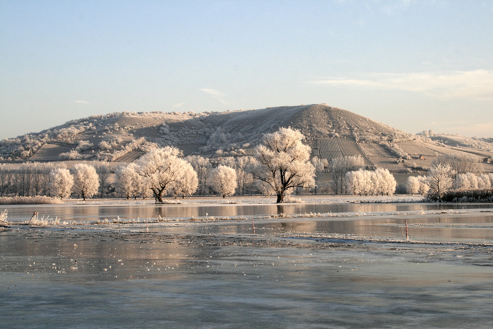 Wintermorgen im Unstruttal